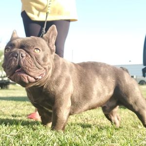 Meet your Posher, Christopher